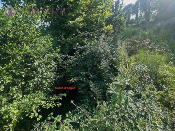 terreno agricolo in vendita a Porcia in zona Palse