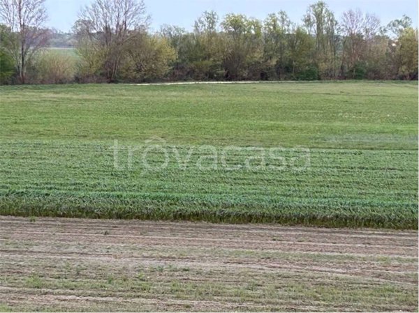 terreno agricolo in vendita a Pordenone