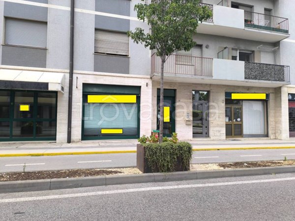 negozio in vendita a Pordenone