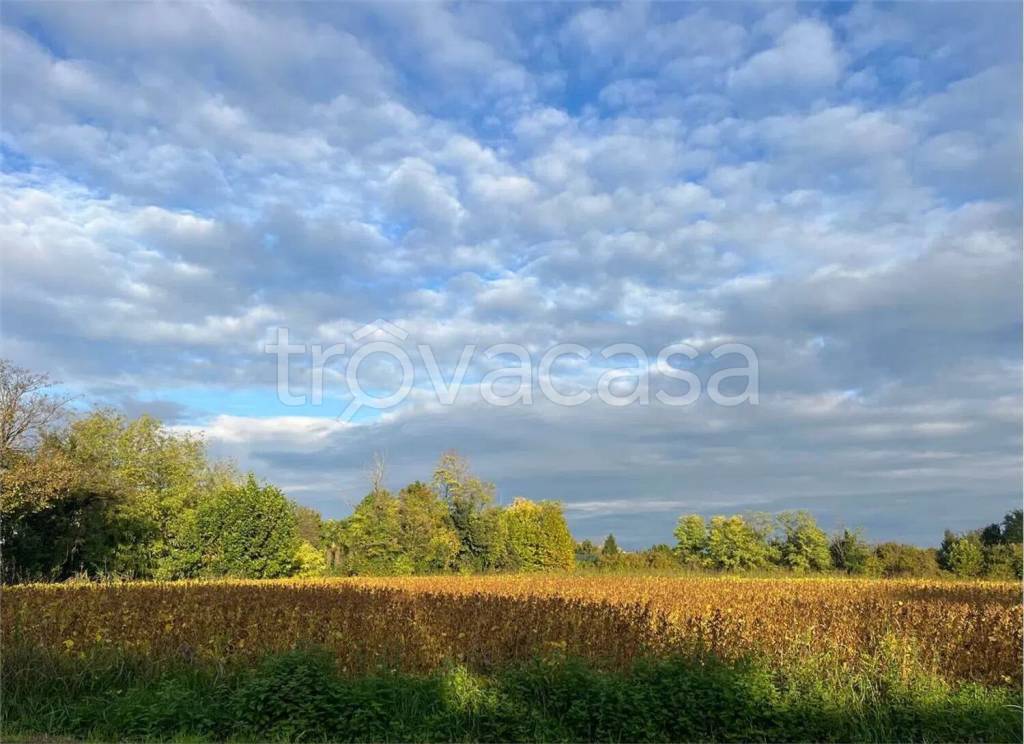 terreno agricolo in vendita a Pordenone in zona Torre