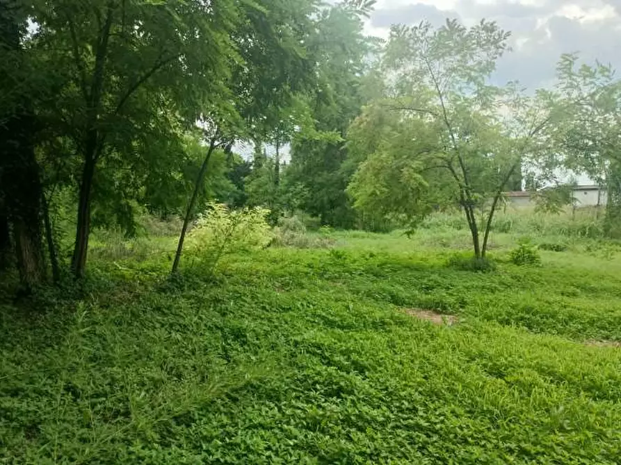 terreno agricolo in vendita a Pordenone