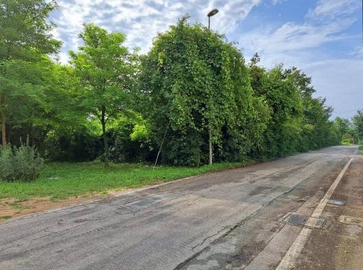 terreno agricolo in vendita a Pordenone