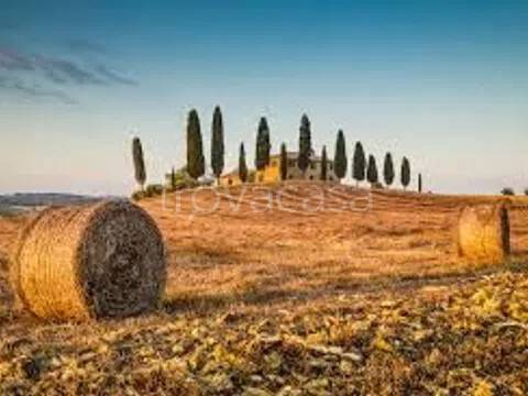 terreno agricolo in vendita a Pordenone in zona Torre