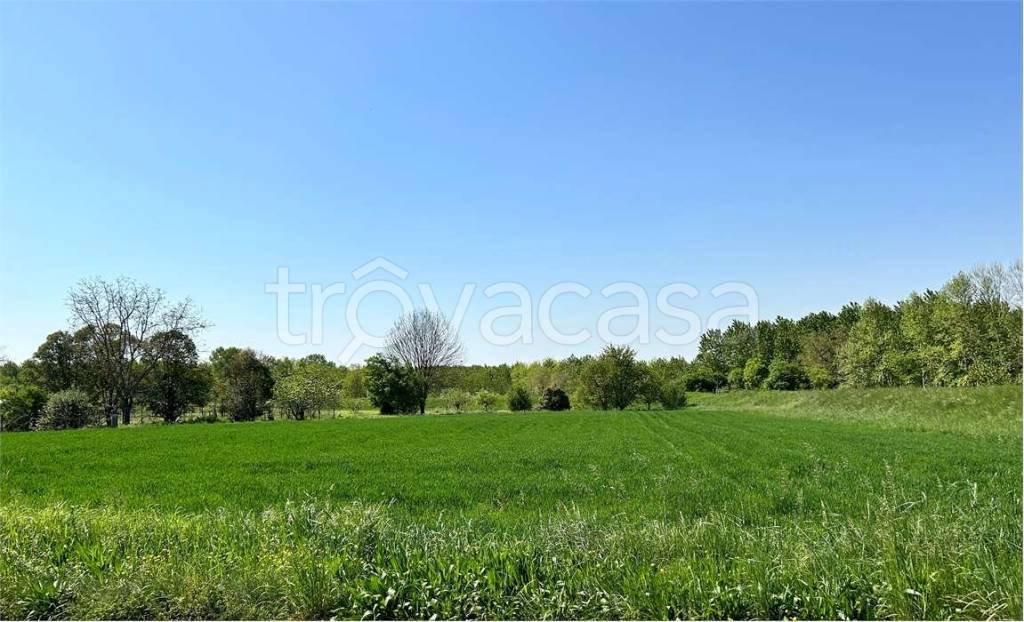 terreno agricolo in vendita a Prata di Pordenone