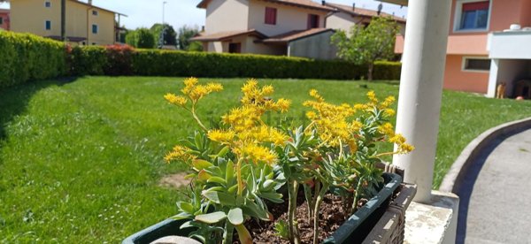 casa indipendente in vendita a Prata di Pordenone