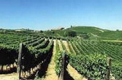 terreno agricolo in vendita a Prata di Pordenone