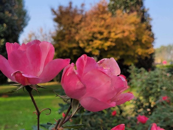 casa indipendente in vendita a Prata di Pordenone