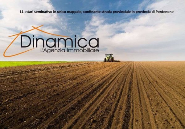 terreno agricolo in vendita a Prata di Pordenone in zona Prata di Sopra