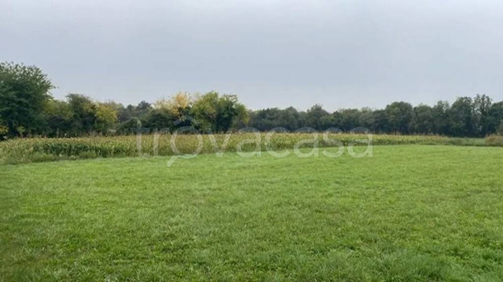 terreno agricolo in vendita a Pravisdomini