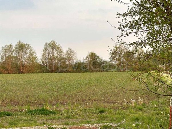 terreno agricolo in vendita a Roveredo in Piano