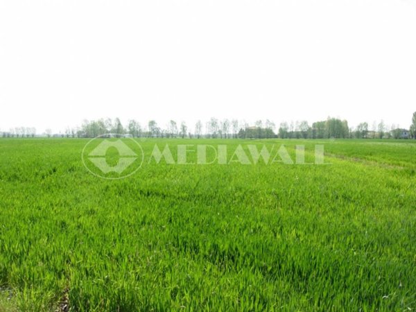 terreno agricolo in vendita a Roveredo in Piano