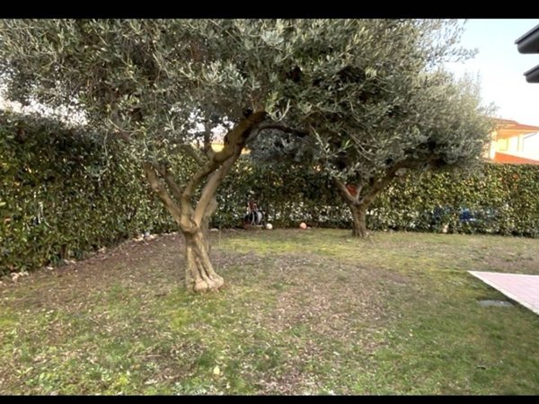 casa indipendente in vendita a Roveredo in Piano