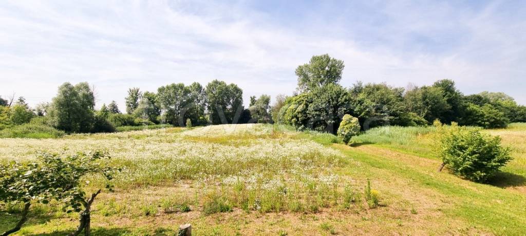 terreno agricolo in vendita a Sacile