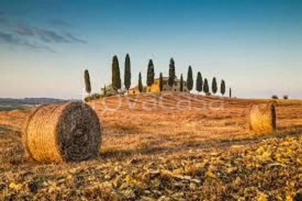 terreno agricolo in vendita a Sacile in zona Cavolano