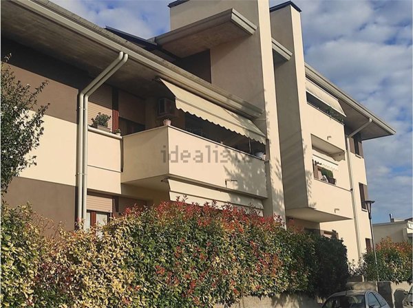 immagine annuncio 0 di 1