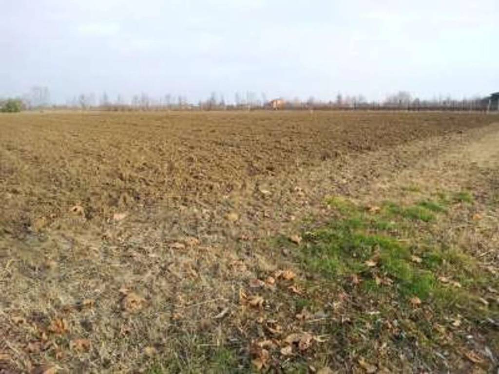 terreno agricolo in vendita a Sacile in zona San Giovanni di Livenza