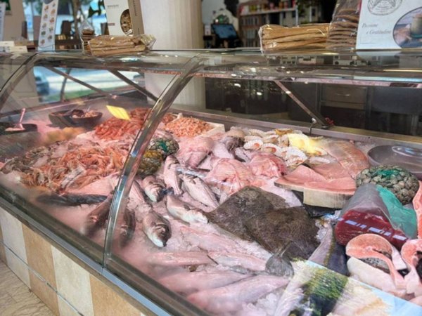 negozio in vendita a Sacile