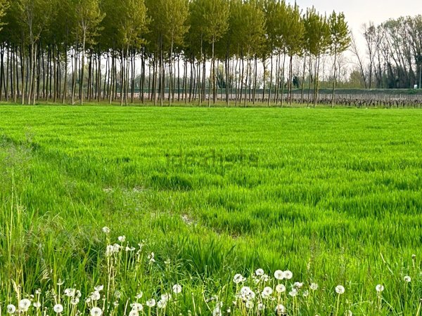 terreno in vendita a Sacile in zona Schiavoi