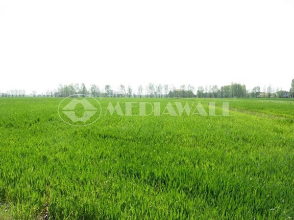 terreno agricolo in vendita a San Giorgio della Richinvelda