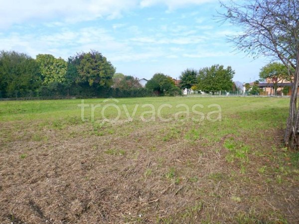 terreno agricolo in vendita a San Giorgio della Richinvelda in zona Provesano