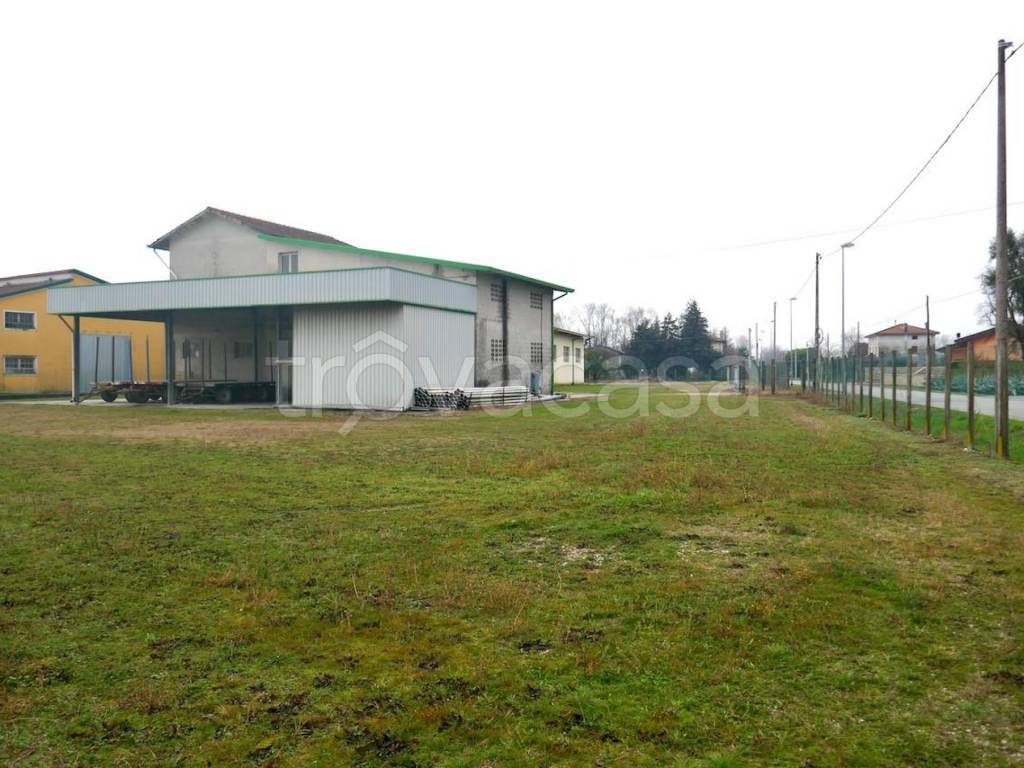 terreno agricolo in vendita a San Giorgio della Richinvelda in zona Domanins