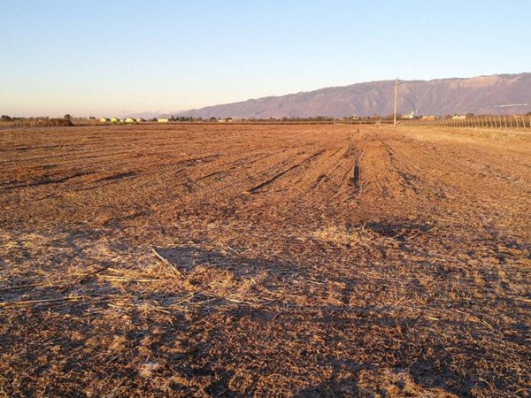 terreno agricolo in vendita a San Quirino
