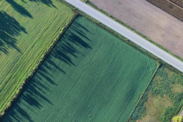 terreno agricolo in vendita a San Quirino