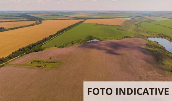 terreno agricolo in vendita a San Quirino