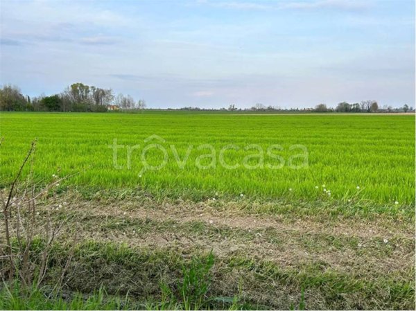 terreno agricolo in vendita a San Quirino