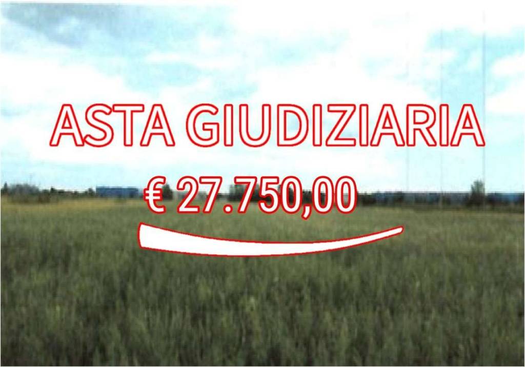 terreno agricolo in vendita a San Quirino
