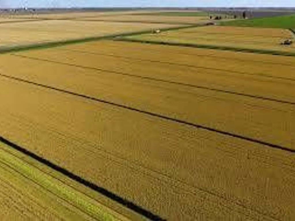 terreno agricolo in vendita a San Quirino