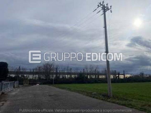 terreno agricolo in vendita a San Quirino