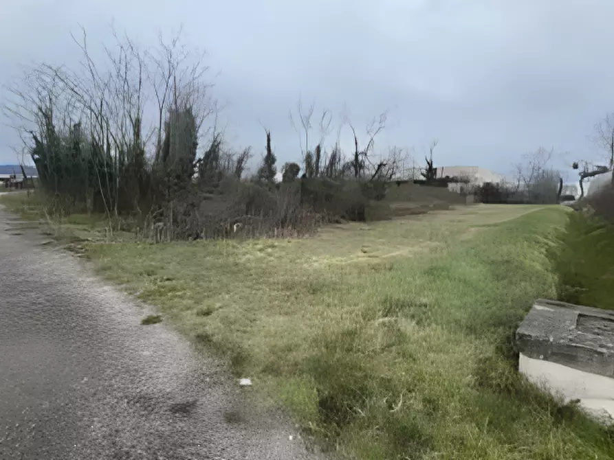terreno agricolo in vendita a San Quirino