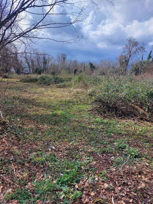 terreno agricolo in vendita a San Quirino