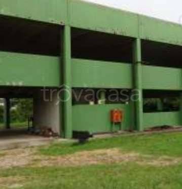 appartamento in vendita a San Quirino