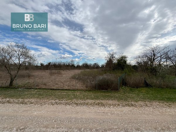 terreno agricolo in vendita a San Quirino