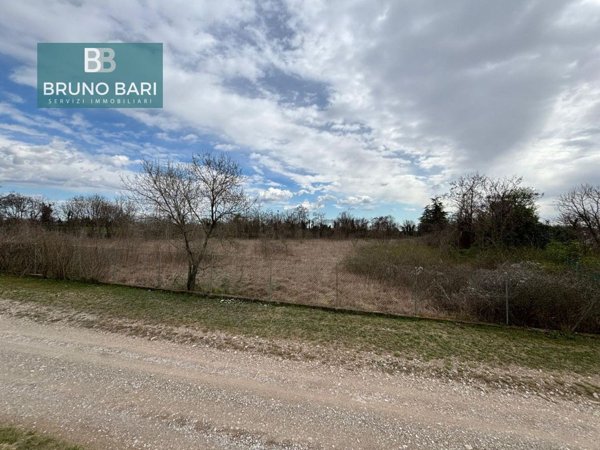 terreno agricolo in vendita a San Quirino