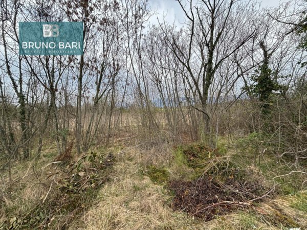 terreno agricolo in vendita a San Quirino