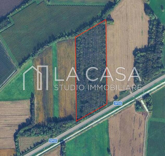 terreno agricolo in vendita a San Quirino in zona San Foca