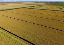 terreno agricolo in vendita a San Quirino