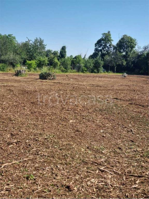 terreno agricolo in vendita a San Quirino