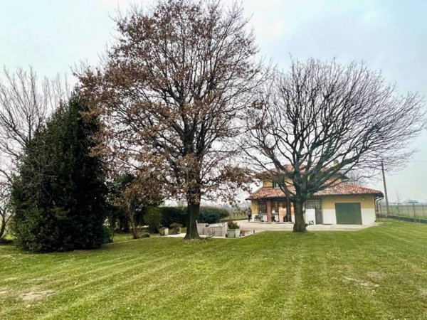 immagine annuncio 0 di 15