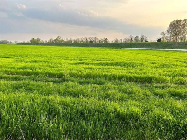 terreno agricolo in vendita a San Vito al Tagliamento