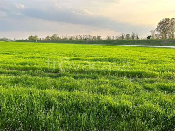 terreno agricolo in vendita a San Vito al Tagliamento