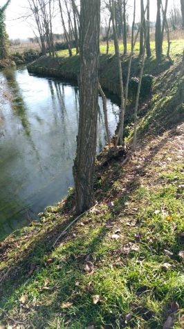 terreno edificabile in vendita a Sesto al Reghena in zona Bagnarola