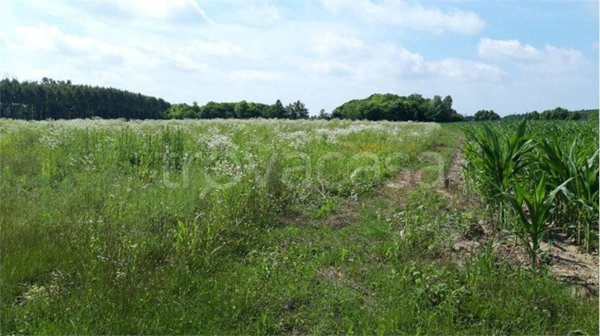 terreno agricolo in vendita a Sesto al Reghena