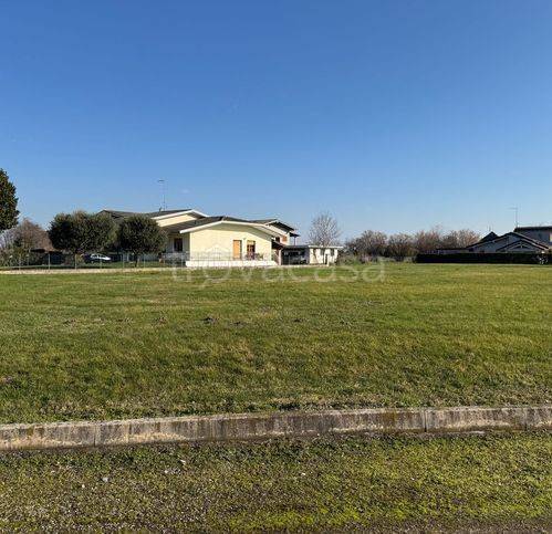 terreno agricolo in vendita a Sesto al Reghena in zona Bagnarola