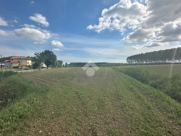 terreno agricolo in vendita a Sesto al Reghena in zona Fraticelle