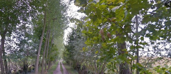 casale in vendita a Sesto al Reghena