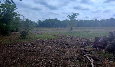 terreno agricolo in vendita a Sesto al Reghena in zona Borgo Siega
